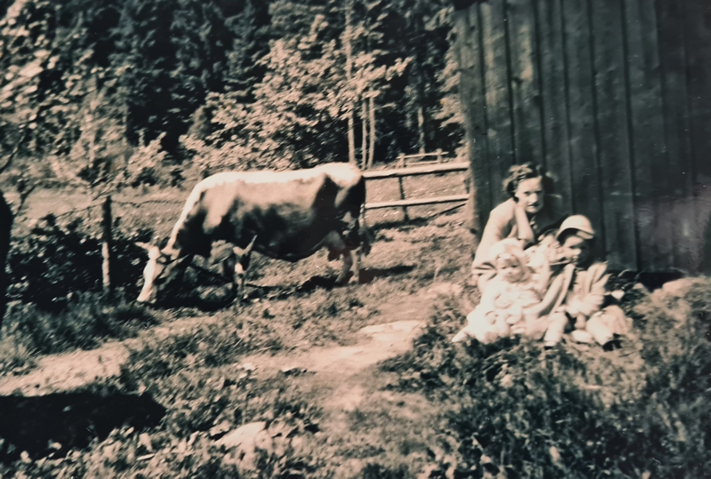 Fil:5000 0574-trulsen.jpg