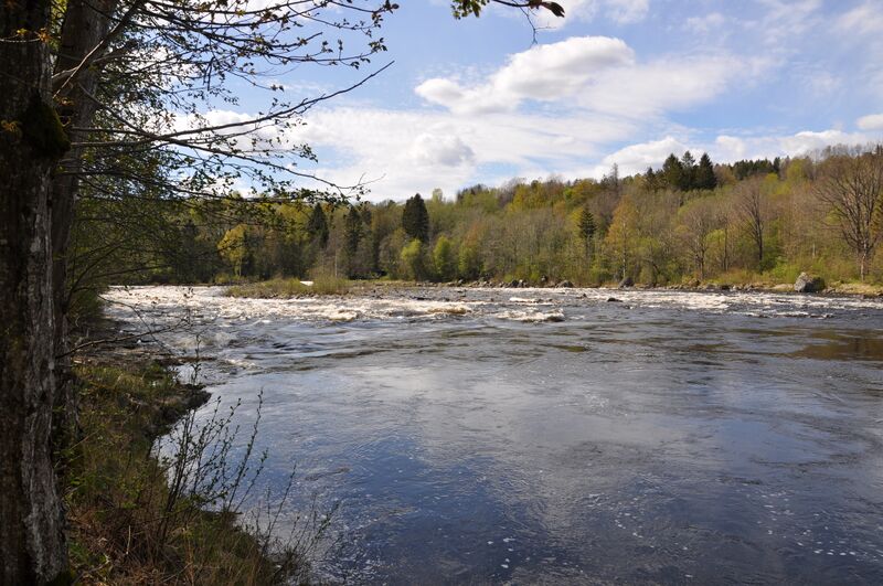 Fil:20200426 060.jpg